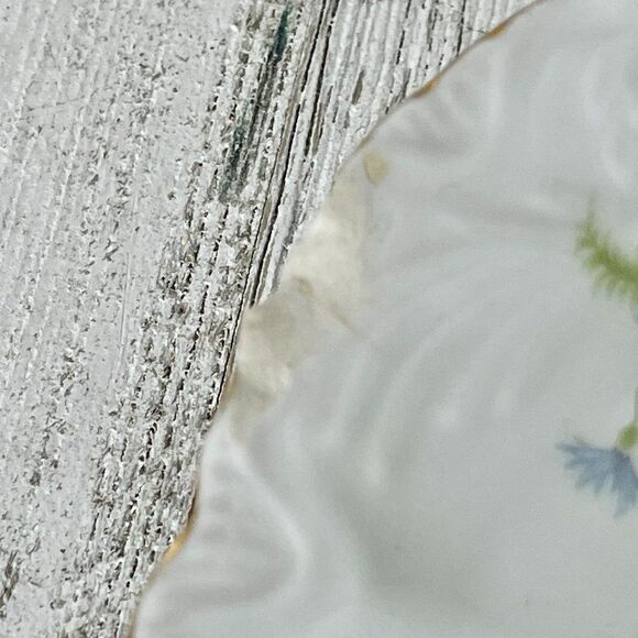 Antique Schönwald R.S.A.G. Bavaria Porcelain Covered Serving Dish, Platter, & Gr - Picture 14 of 14